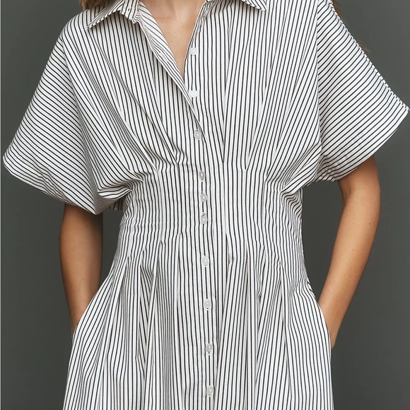 Anthropologie Striped White and Black Dress with Red Accent - Picture 3 of 4